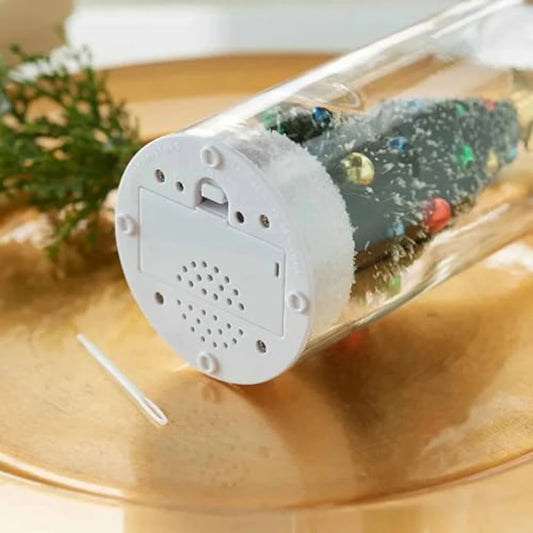 Memory of Love in a Bottle